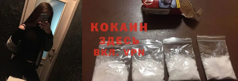 COCAIN FishScale  продажа наркотиков  Льгов 