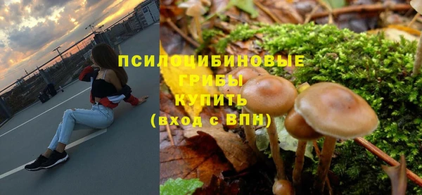 МДПВ Лихославль