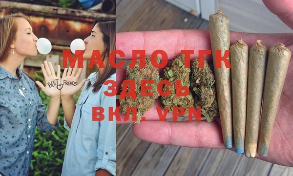 дмт Пересвет
