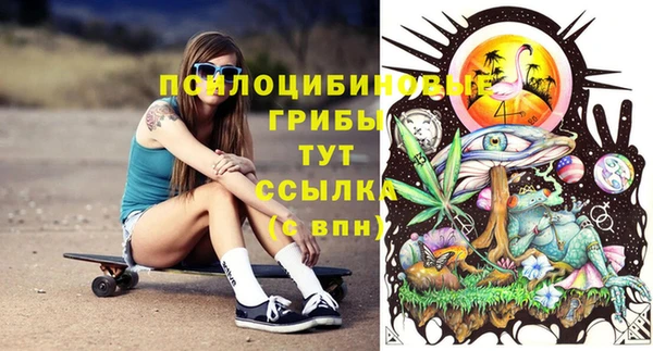 прущий лед Лиски